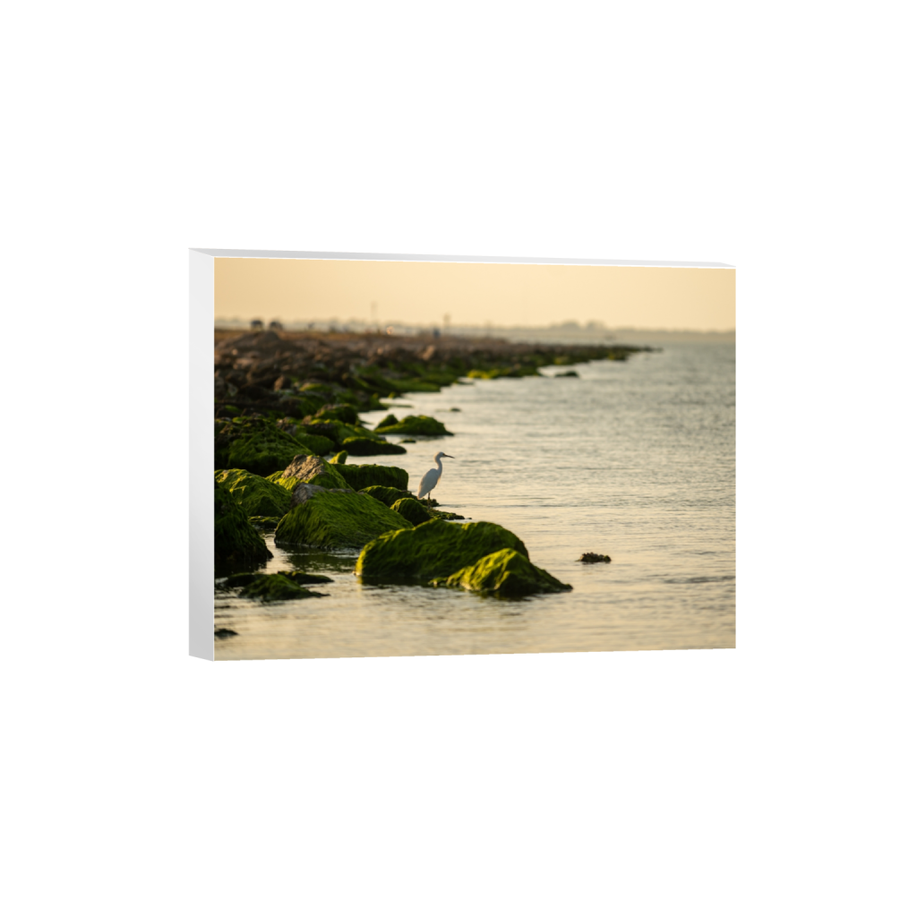 canvas_rectangle3_4_598_0_4237_3178_0_false_ffffff_0_0.png
