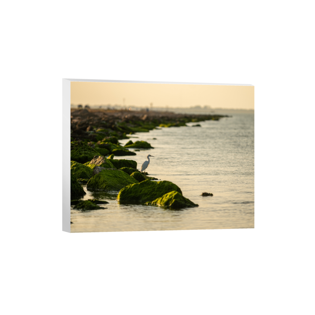 canvas_rectangle4_5_730_0_3972_3178_0_false_ffffff_0_0.png