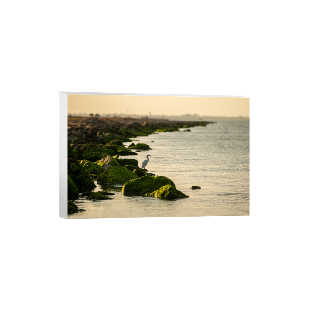canvas_rectangle2_3_333_0_4767_3178_0_false_ffffff_0_0.png
