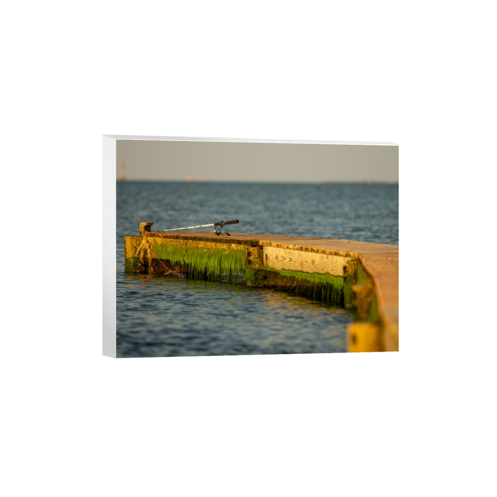 canvas_rectangle3_4_527_0_4328_3246_0_false_ffffff_0_0.png