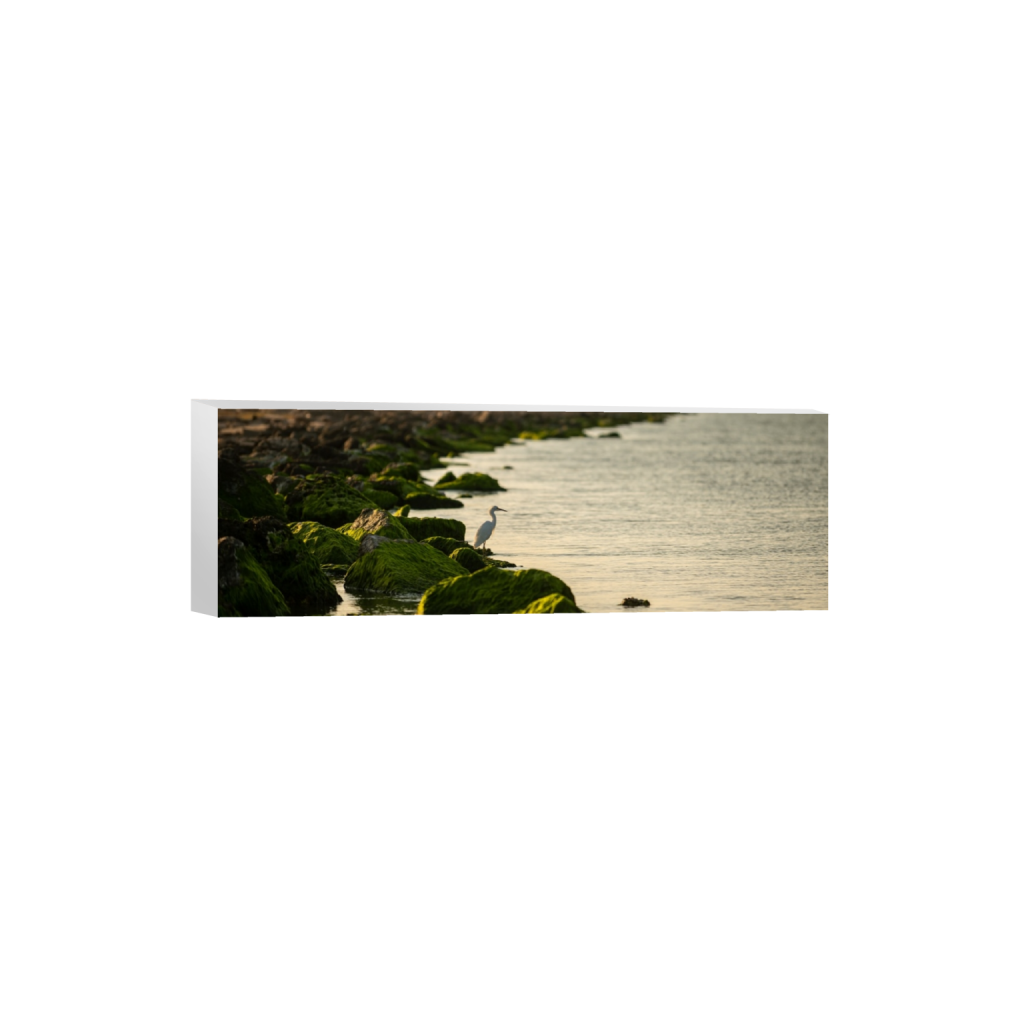 canvas_rectangle1_3_0_683_5434_1811_0_false_ffffff_0_0.png