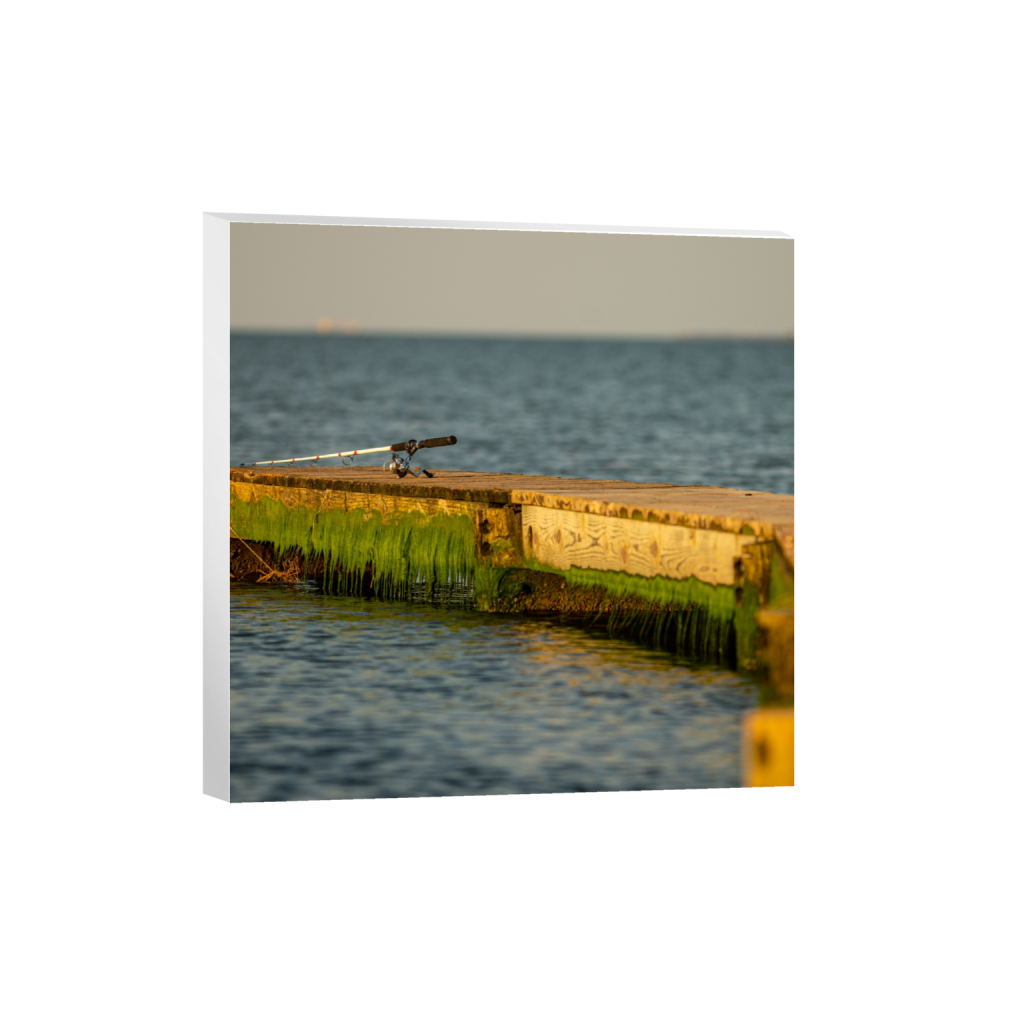 canvas_square_1068_0_3246_3246_0_false_ffffff_0_0.png