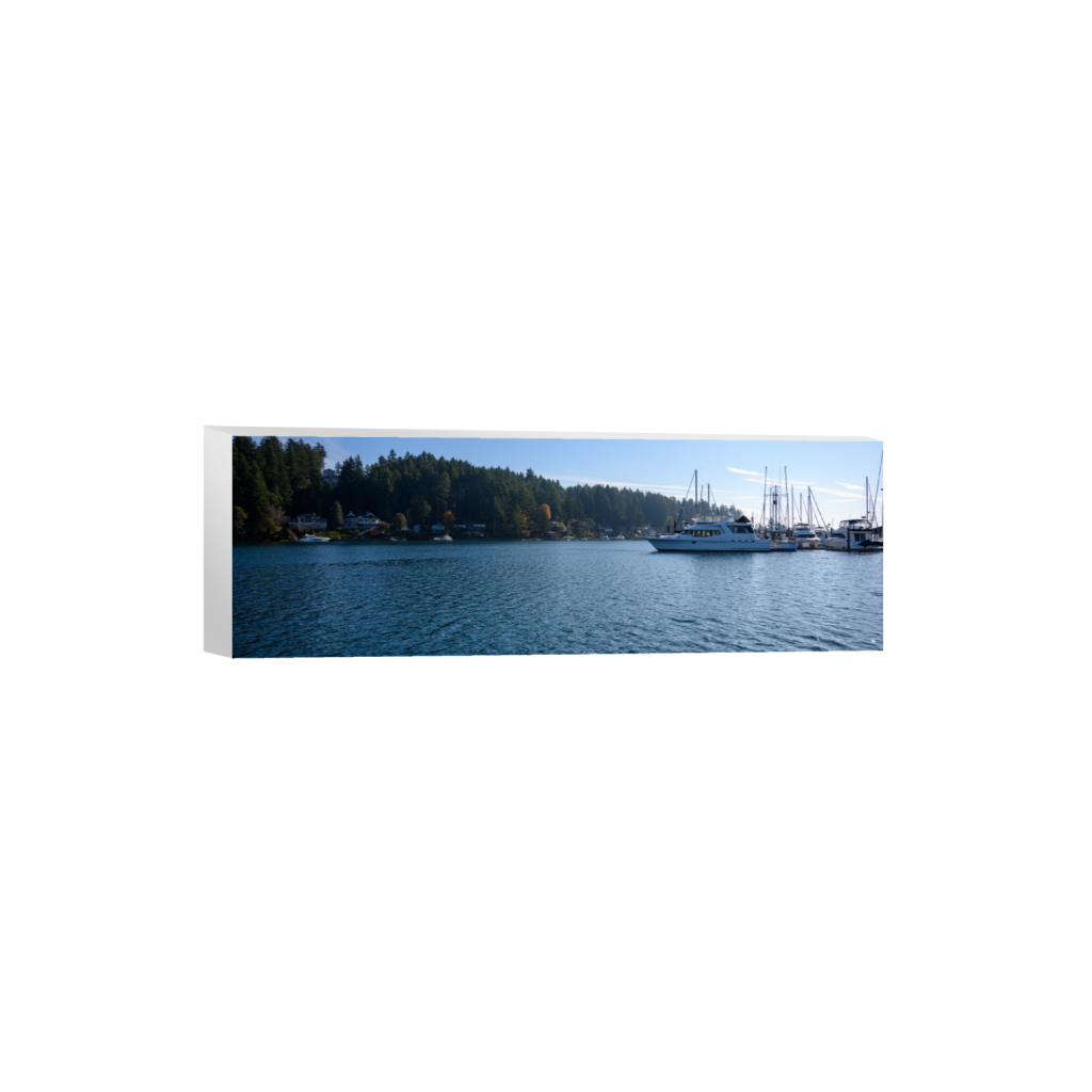 canvas_rectangle1_3_0_489_6048_2016_0_false_ffffff_0_0.png