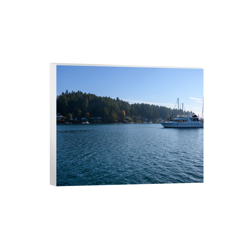 canvas_rectangle4_5_1152_0_3742_2994_0_false_ffffff_0_0.png