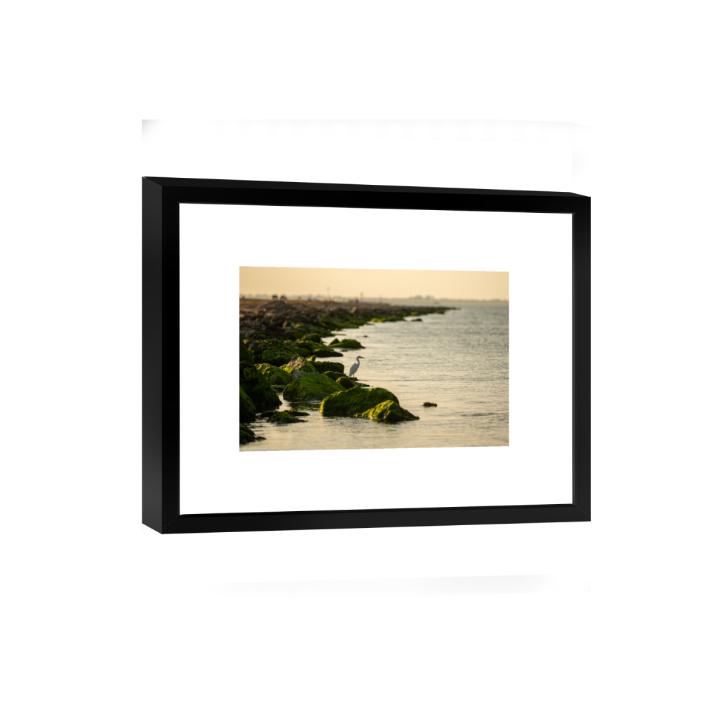 smartframe_rectangle2_3_333_0_4767_3178_0_false_ffffff_0_0.png