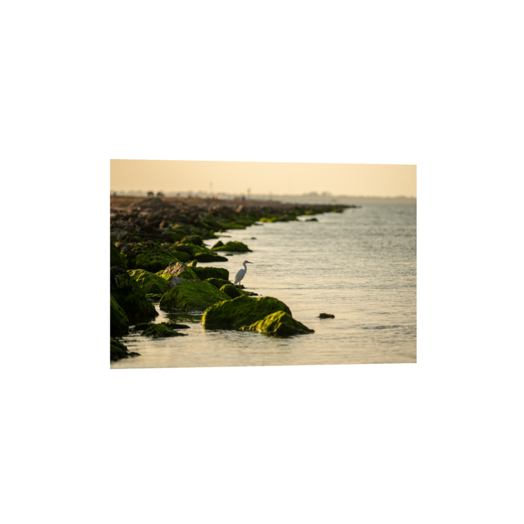 fineartprints_rectangle2_3_333_0_4767_3178_0_false_ffffff_0_0.png