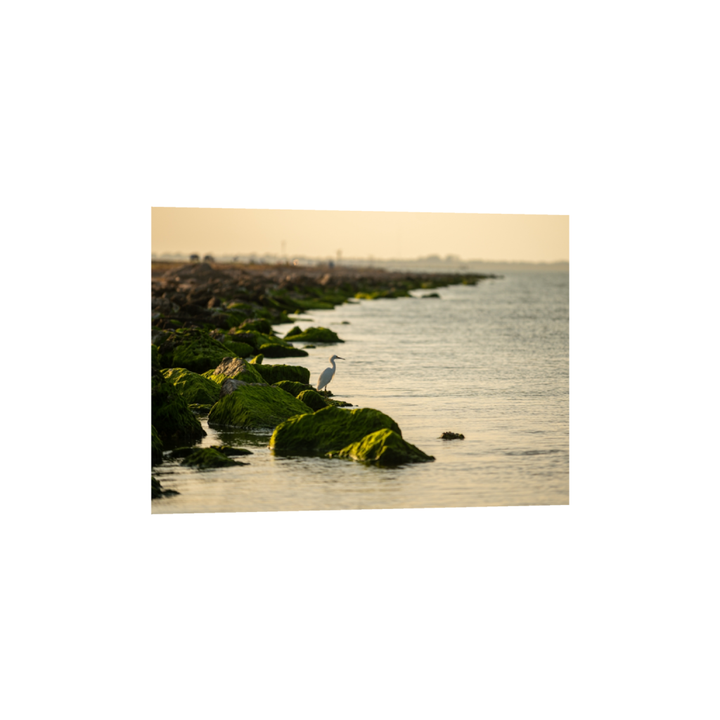 fineartprints_rectangle5_7_492_0_4449_3178_0_false_ffffff_0_0.png