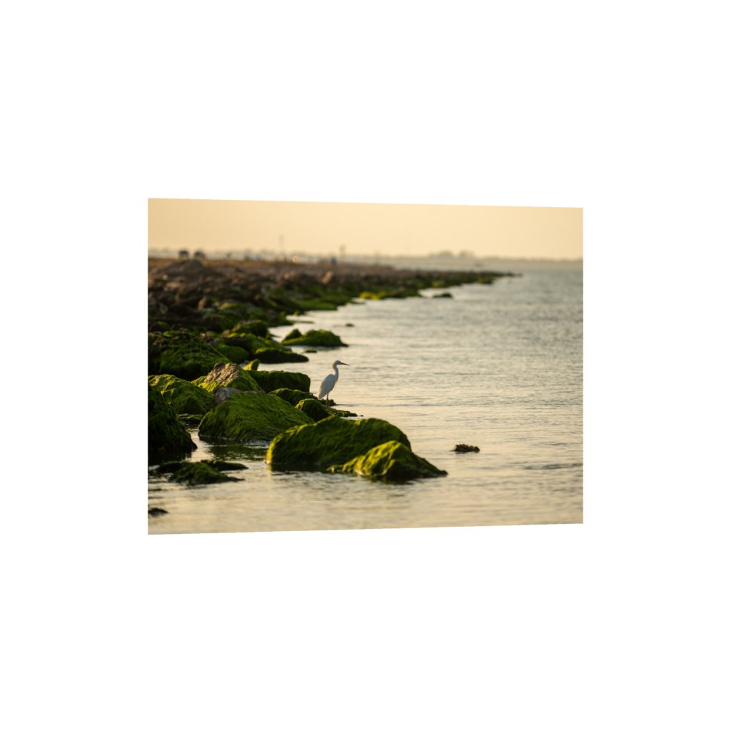 fineartprints_rectangle3_4_598_0_4237_3178_0_false_ffffff_0_0.png