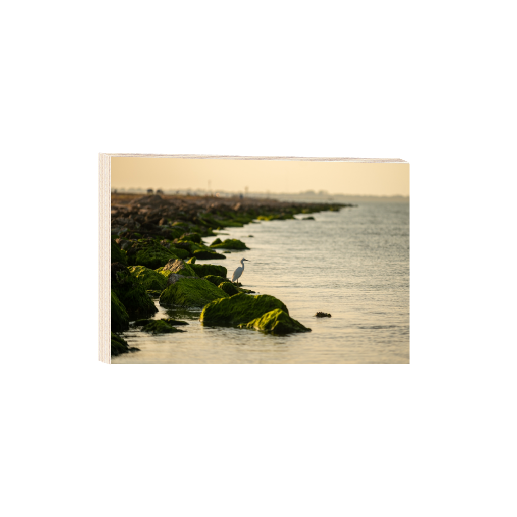 woodprint_rectangle2_3_333_0_4767_3178_0_false_ffffff_0_0.png