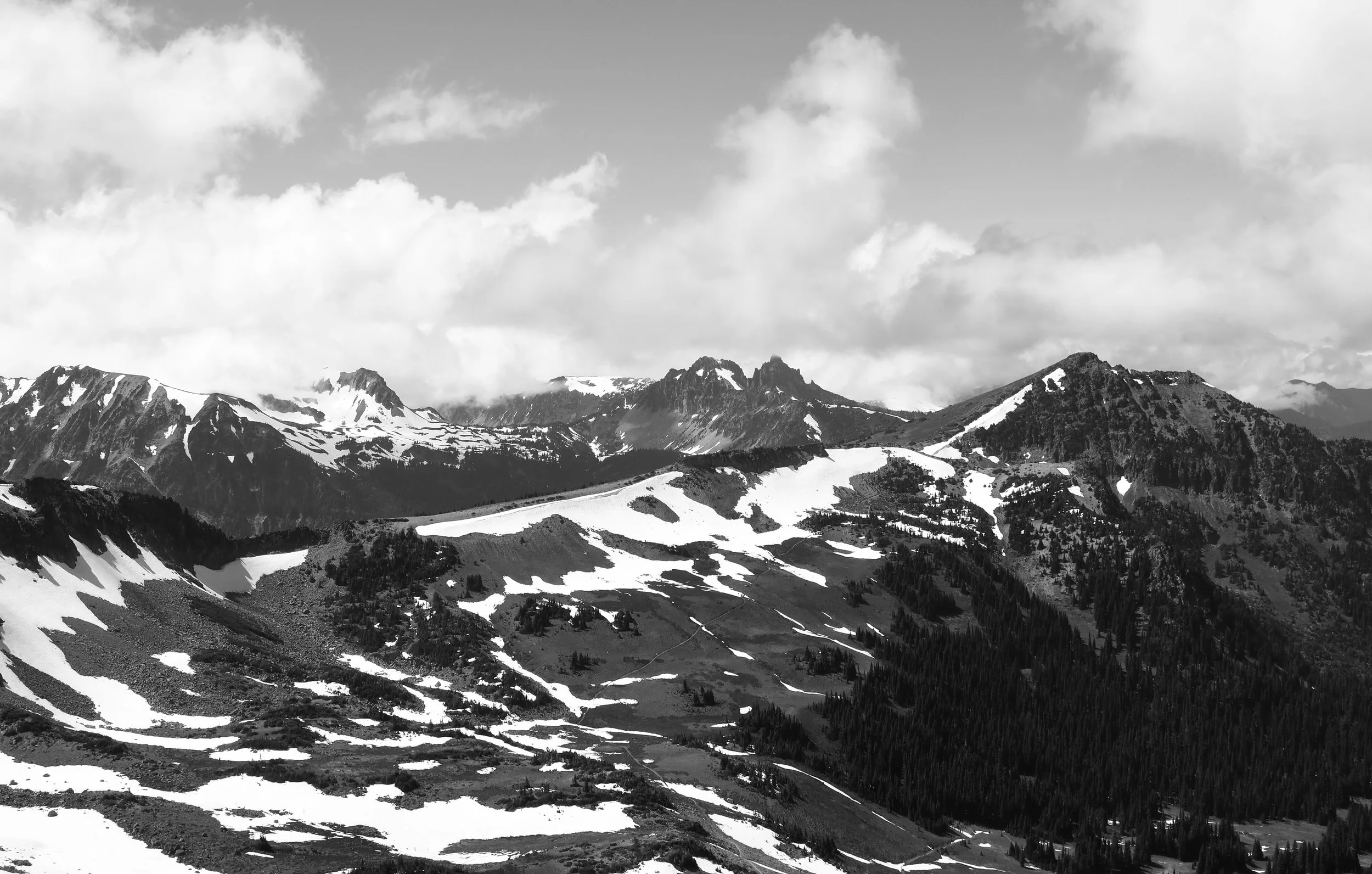 IMG_1699.JPG
