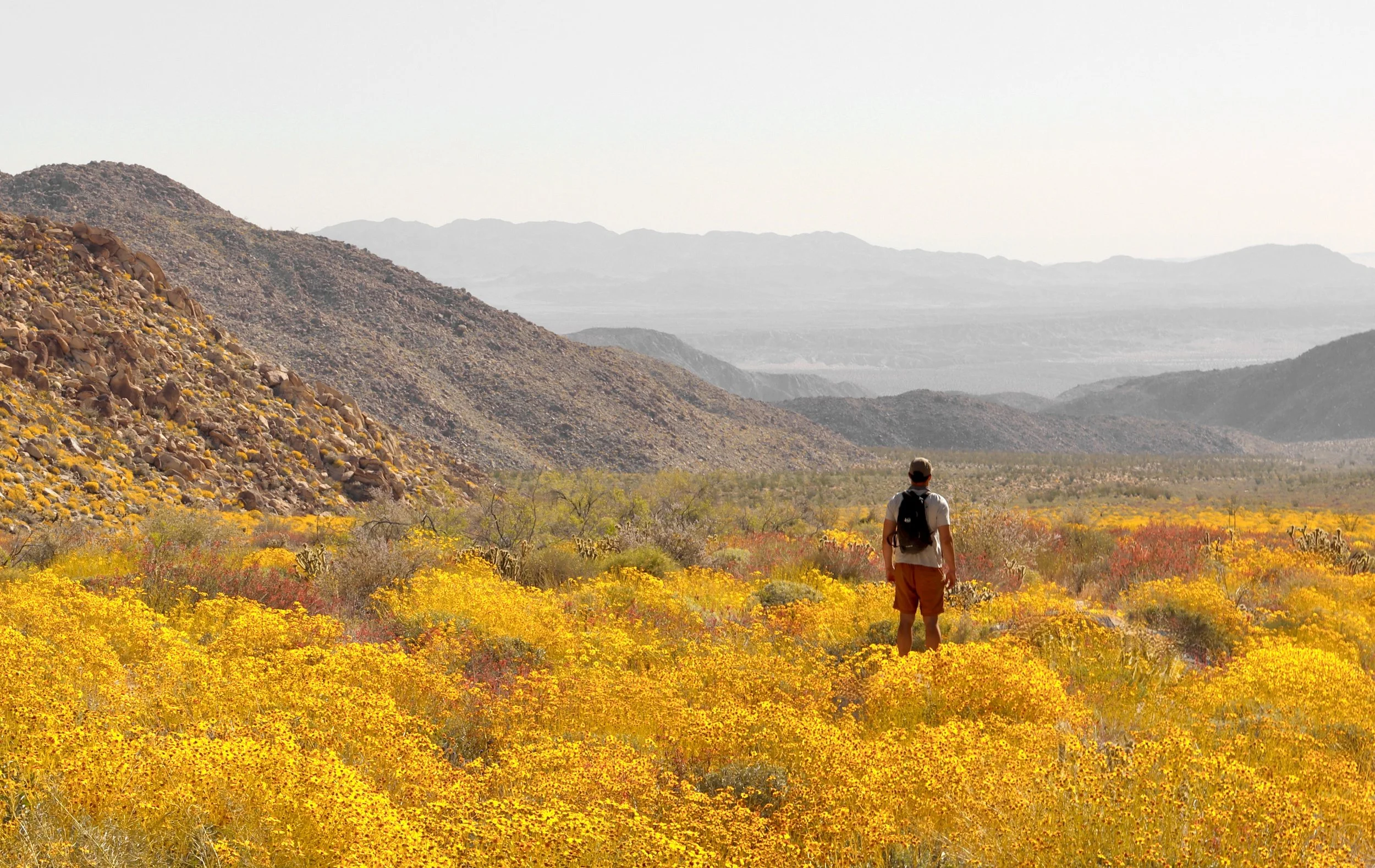 IMG_5303.JPG
