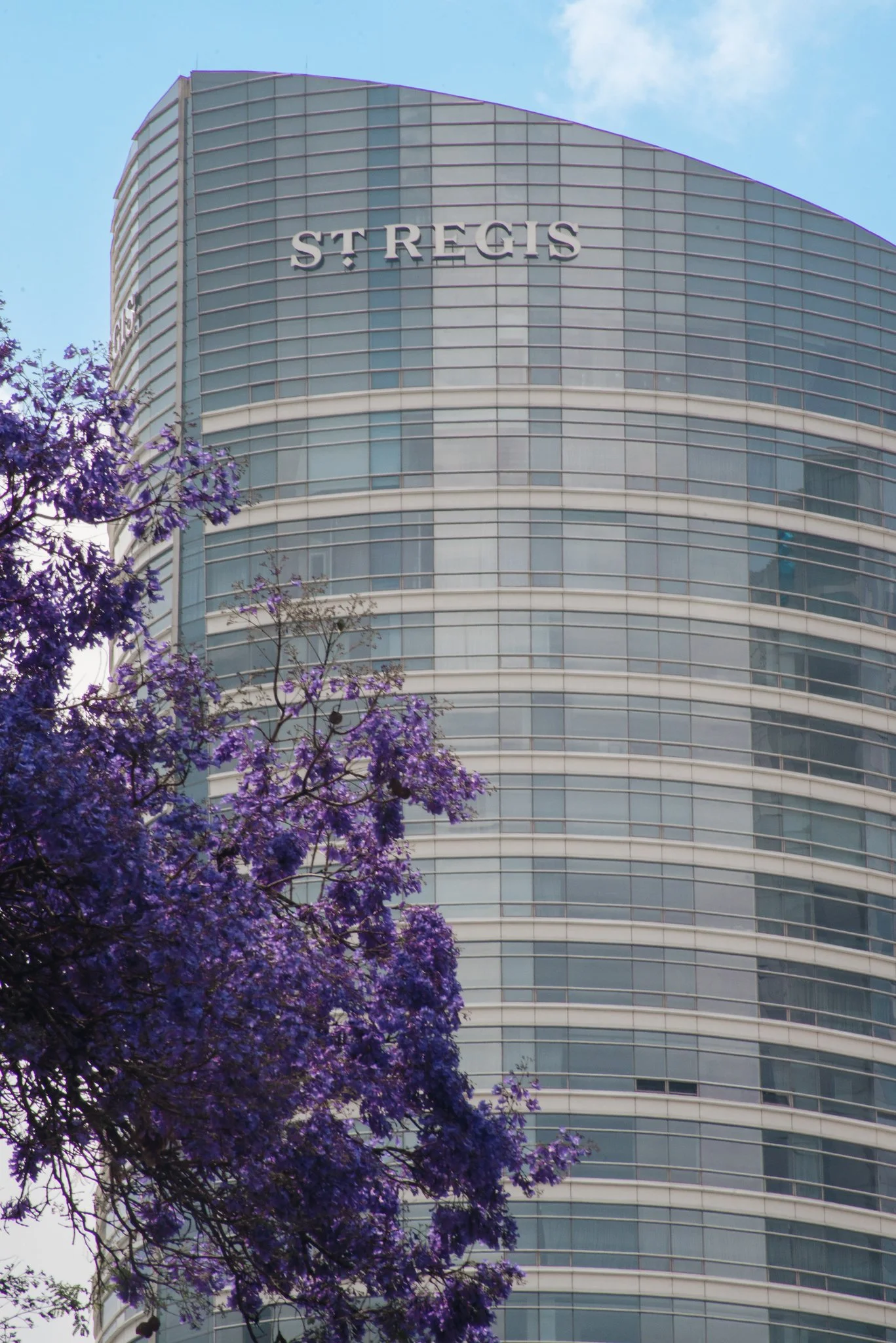  
   
    The St. Regis Mexico City
   
      
   Mexico 
 