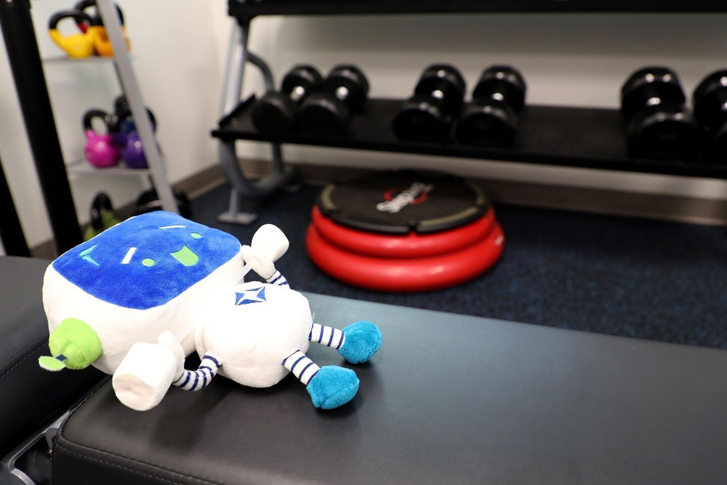 RoBert finally found a workout he can do. He may not be able to take a spin on the elliptical, but he sure can lift weights.⠀
⠀
Here&rsquo;s to hopefully adding more marshmallows to his bar in the next year.⠀
⠀
#moserspottherobot #codeismylife #build