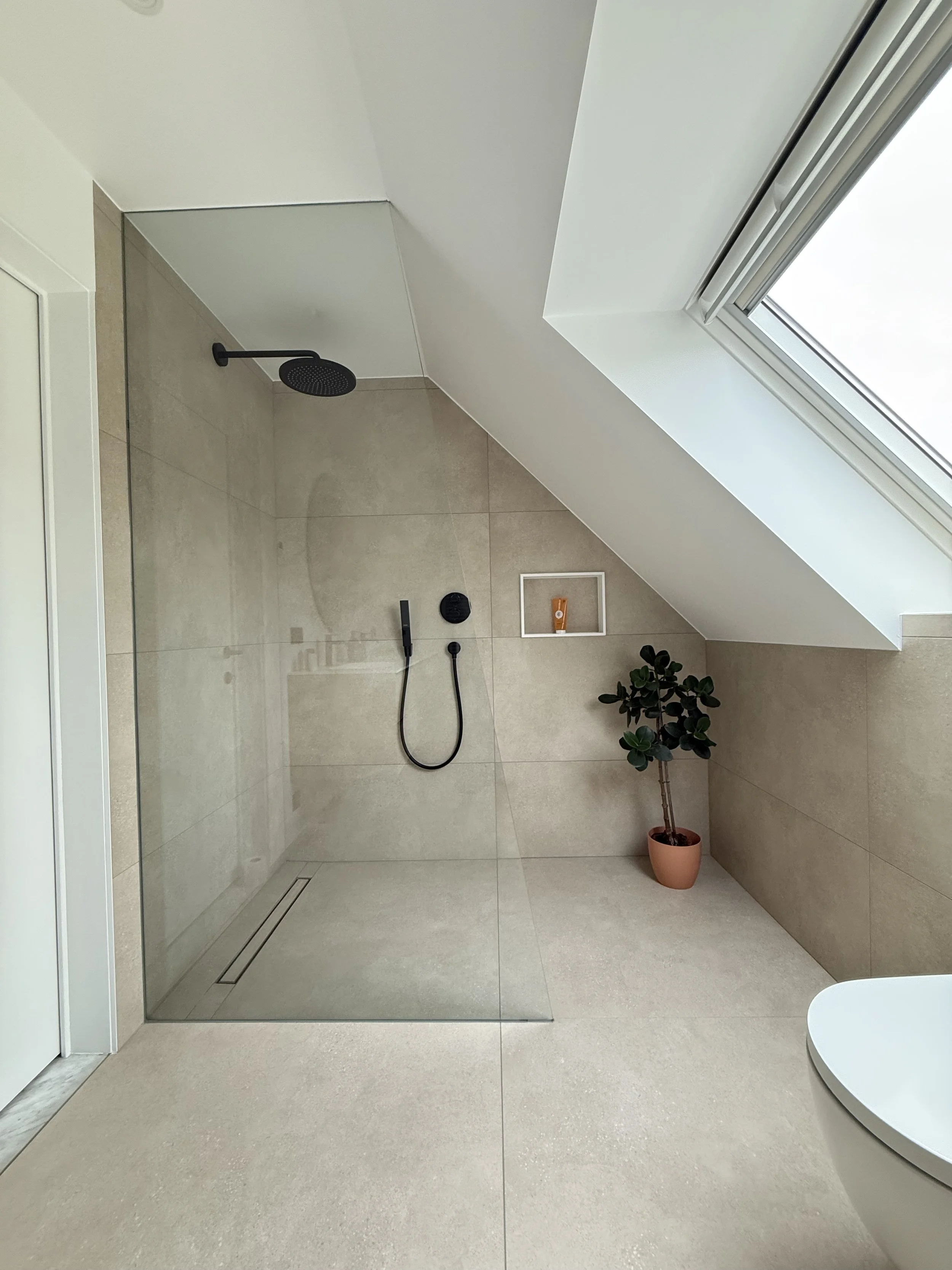 Modern badkamer met een inloopdouche, een plantenpot en een dakraam