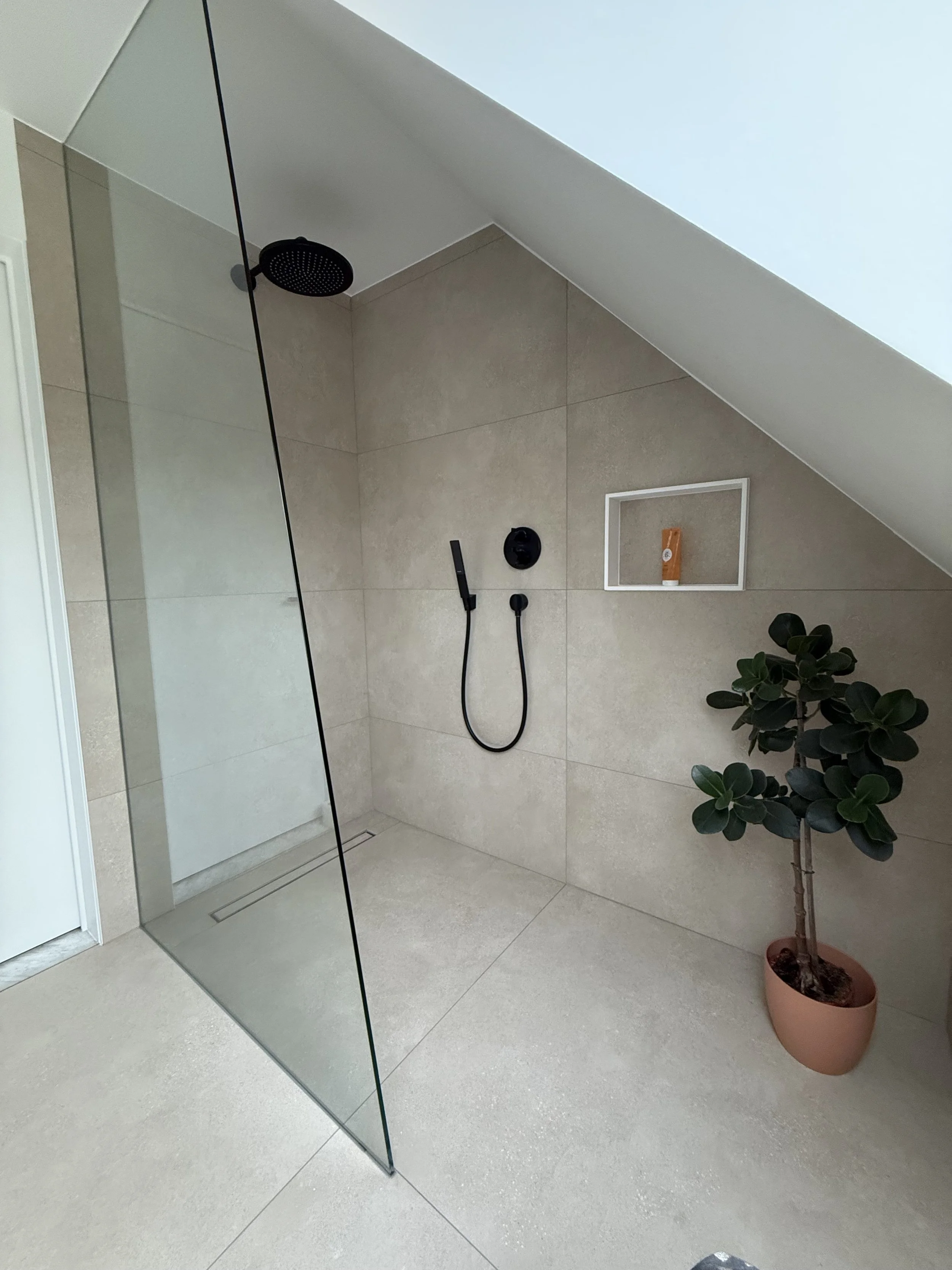 Moderne, minimalistische badkamer met douchecabine, zwarte regendouches en handdouche, ingebouwde nis met toiletartikelen, en een grote groene plant in een terracotta pot.