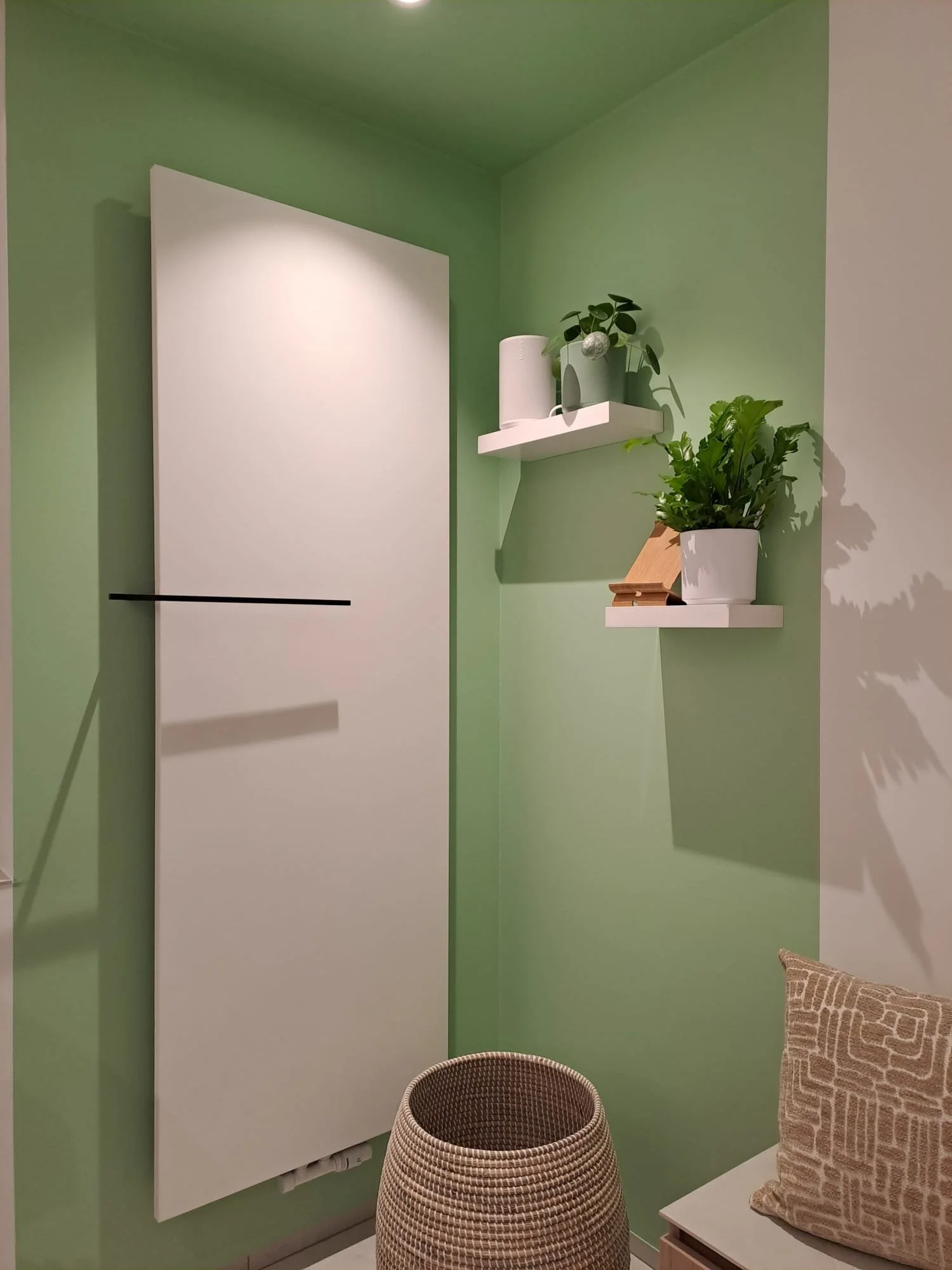 Een groene kamer met een witte deur en twee witte planken met planten, een witte waterkoker en boeken. In de hoek staat een rotan mand en op een kast ligt een beige kussen.