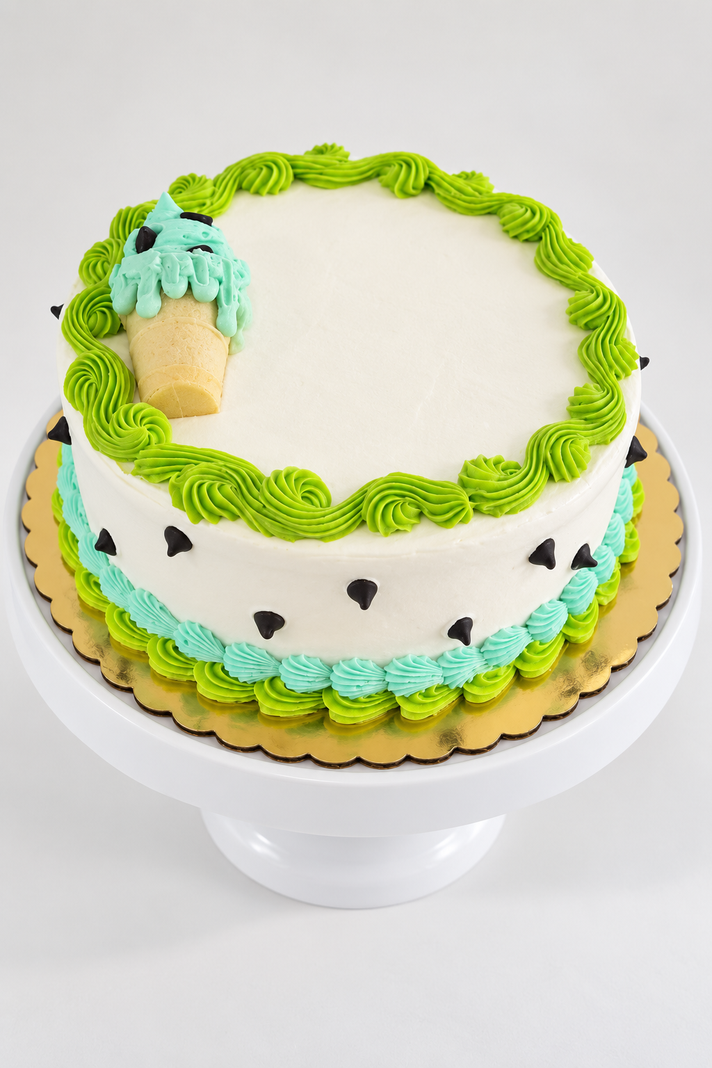 MINT CHOCOLATE CHIP WITH CHOCOLATE CAKE