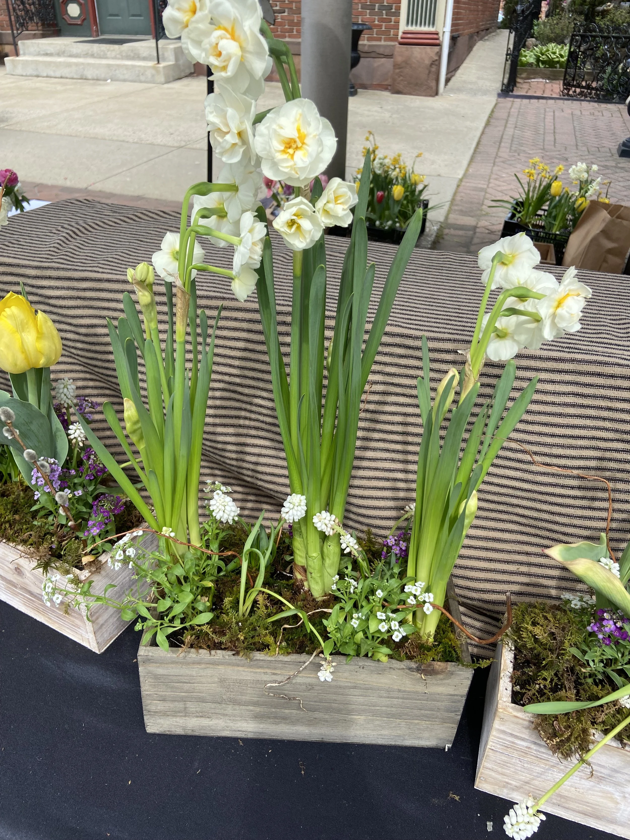 Whimsical Spring Bulb Garden Workshop