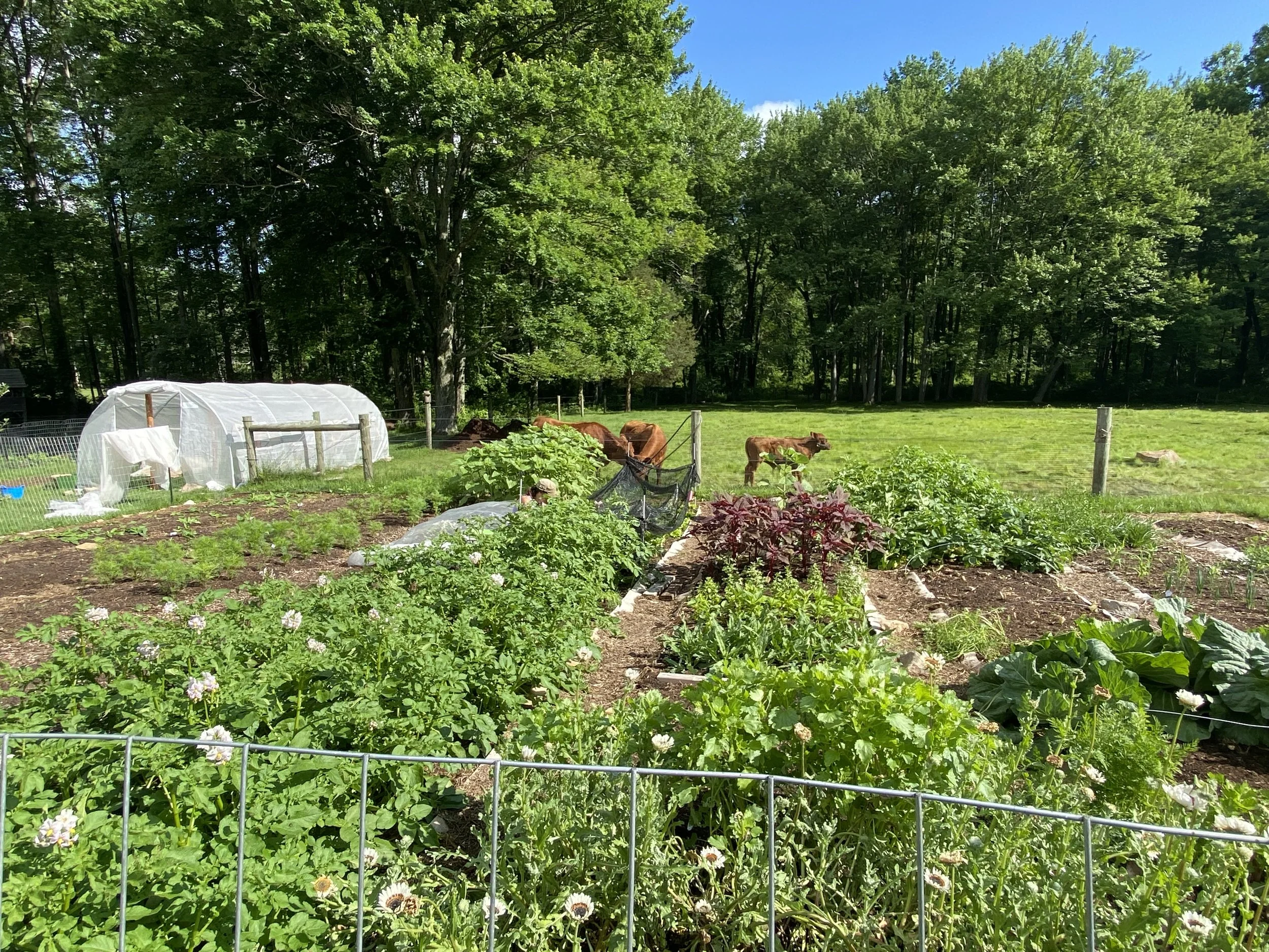 Hopewell Flower Farm