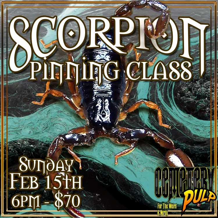 Scorpion Pinning Class