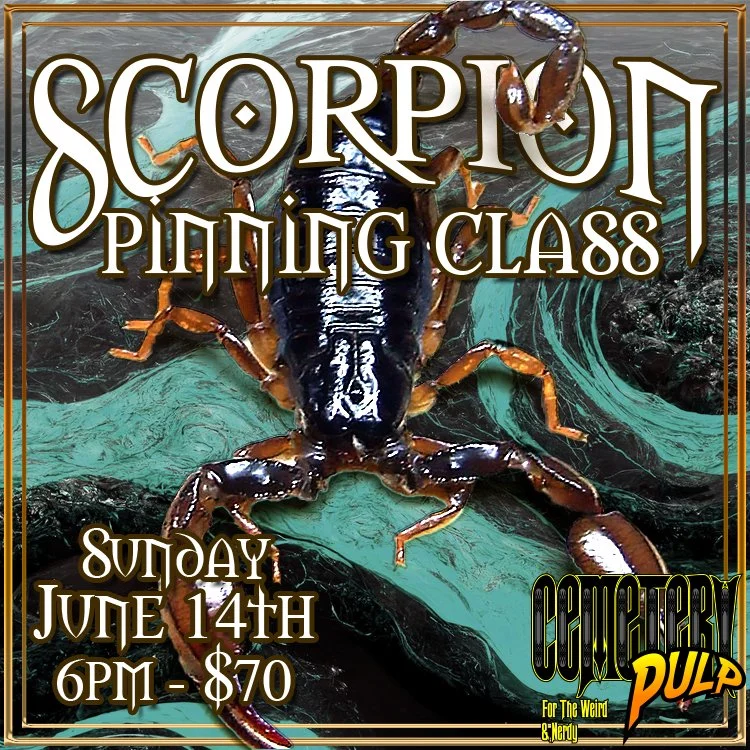 Scorpion Pinning Class