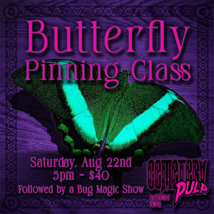 Butterfly Pinning Class - super insect saturday