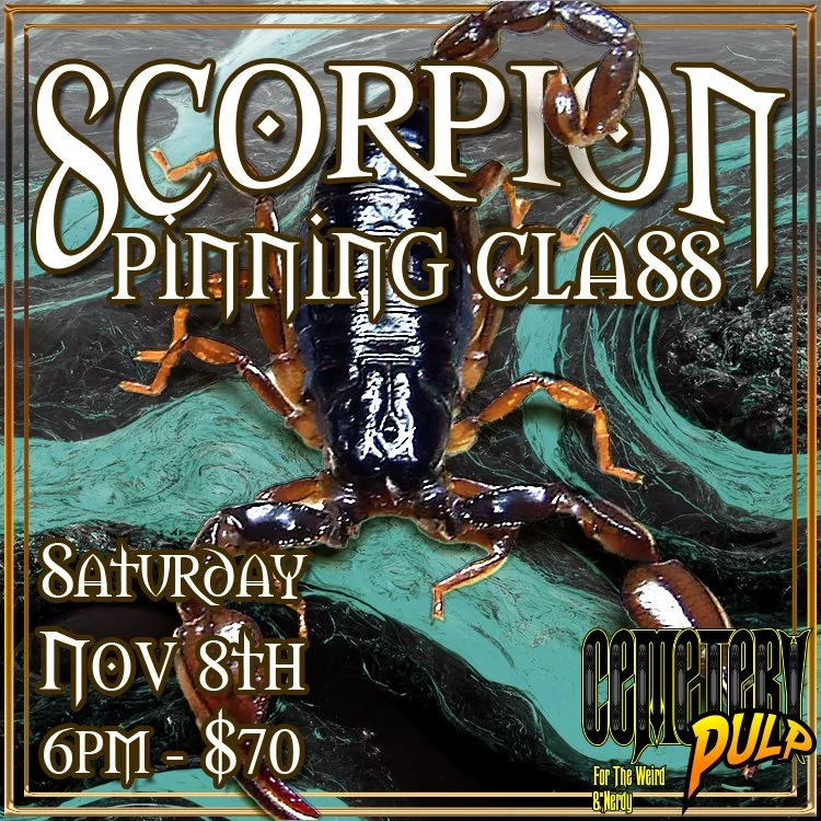 Scorpion Pinning Class