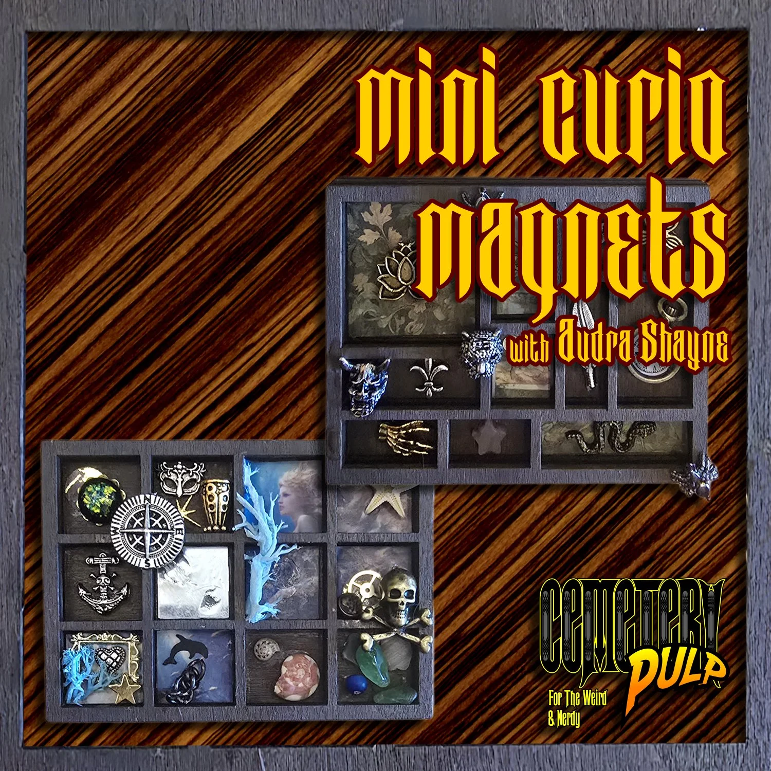 MiniCurioMagnets_shop.jpg