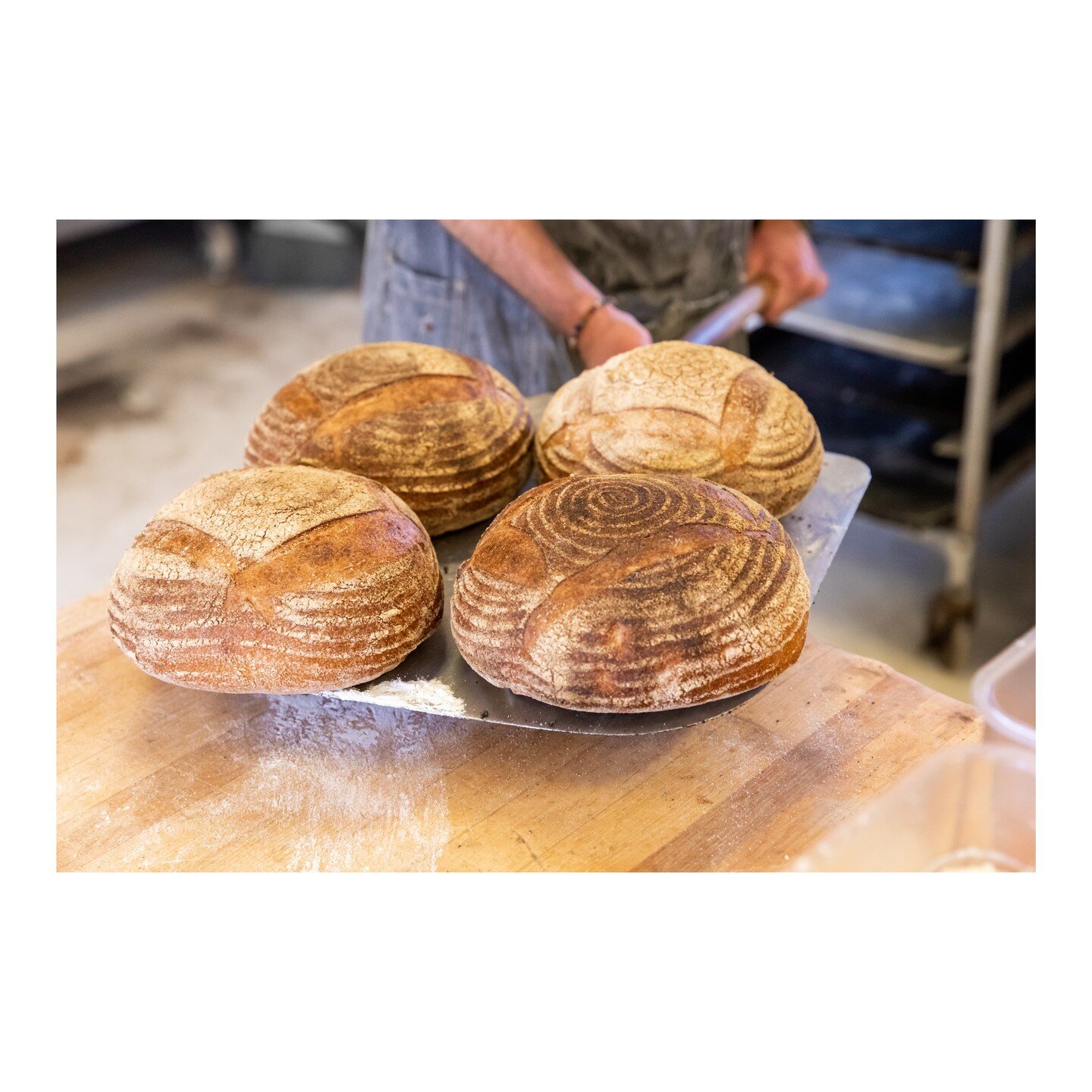 Baked fresh, baked daily&mdash;Clark's Sourdough available starting at 6am, Monday - Saturday.