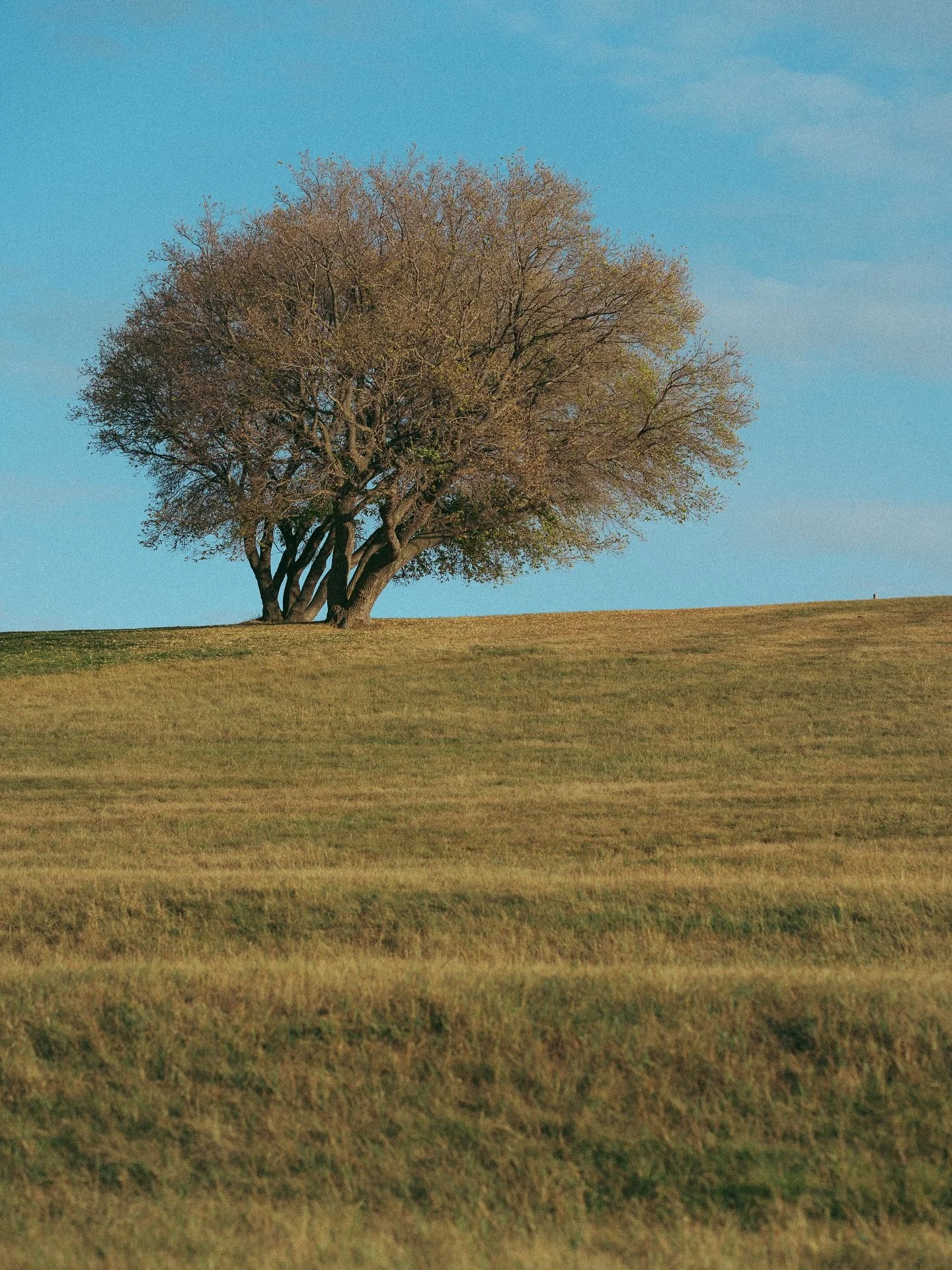 Oh my goodness does my cup ever feel FULL in the best way lately. Spending my days editing or finally being able to catch up on some life stuff, settling into this new way of life, a bit more regulated and much less resentful (more on resentment in t