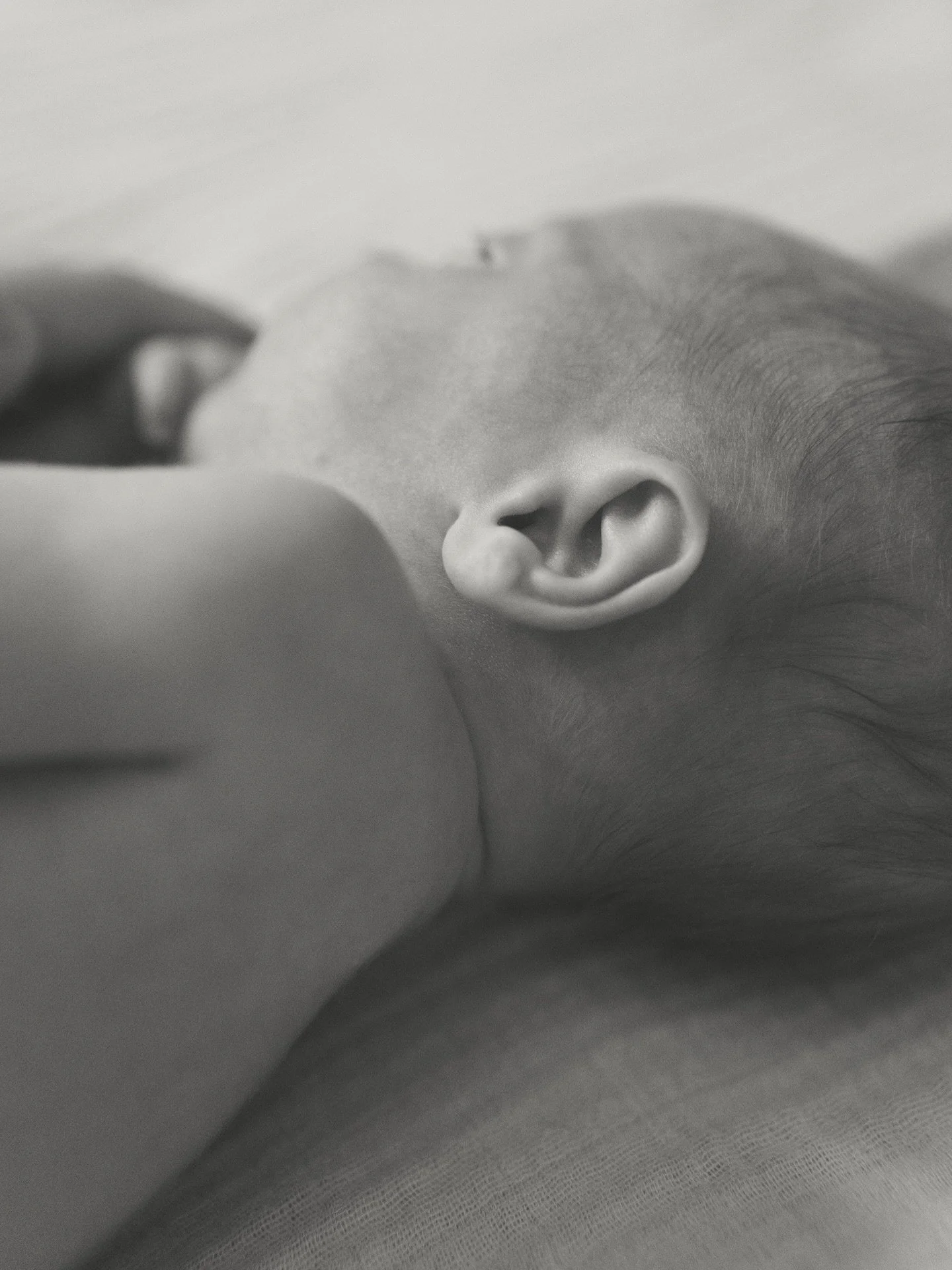 I just hit &ldquo;send&rdquo; on my last newborn gallery of 2025. 

This year I shot 15 newborn sessions alone. In total, I shot 65 sessions this year so far and by new years that will be 66! A new record for me, and pretty incredible when you think 