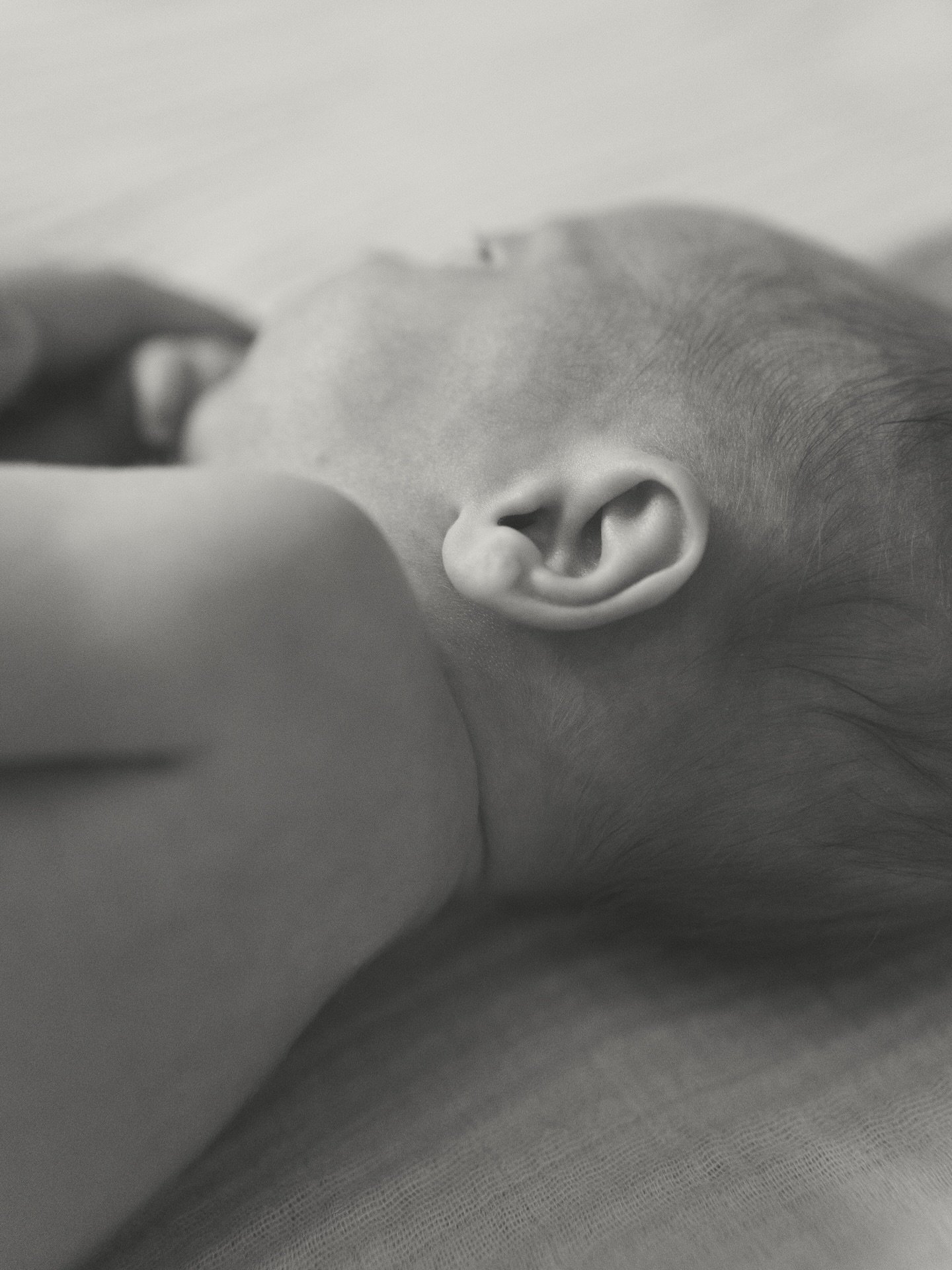 I just hit &ldquo;send&rdquo; on my last newborn gallery of 2025. 

This year I shot 15 newborn sessions alone. In total, I shot 65 sessions this year so far and by new years that will be 66! A new record for me, and pretty incredible when you think 