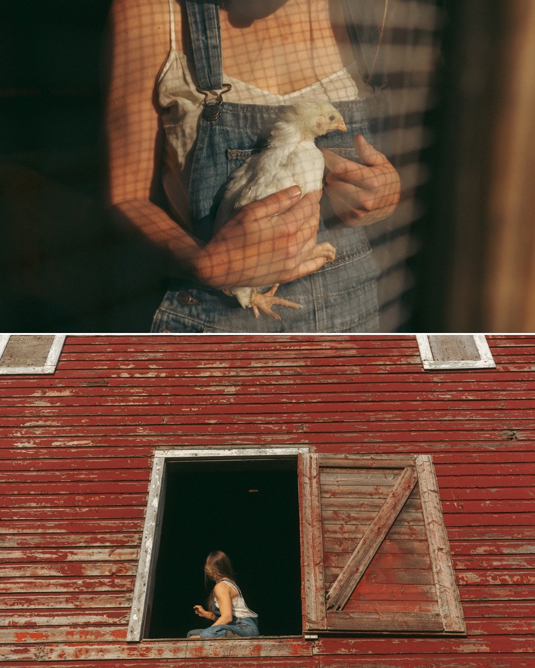 Im here to photograph you in ALL of your identities. 
Not just the you that&rsquo;s a mom. The you that&rsquo;s also an entrepreneur, a business owner, a farmer! 

Last year I shot branding photos for the coolest Mom and Farmer, Anna of @larknestfarm