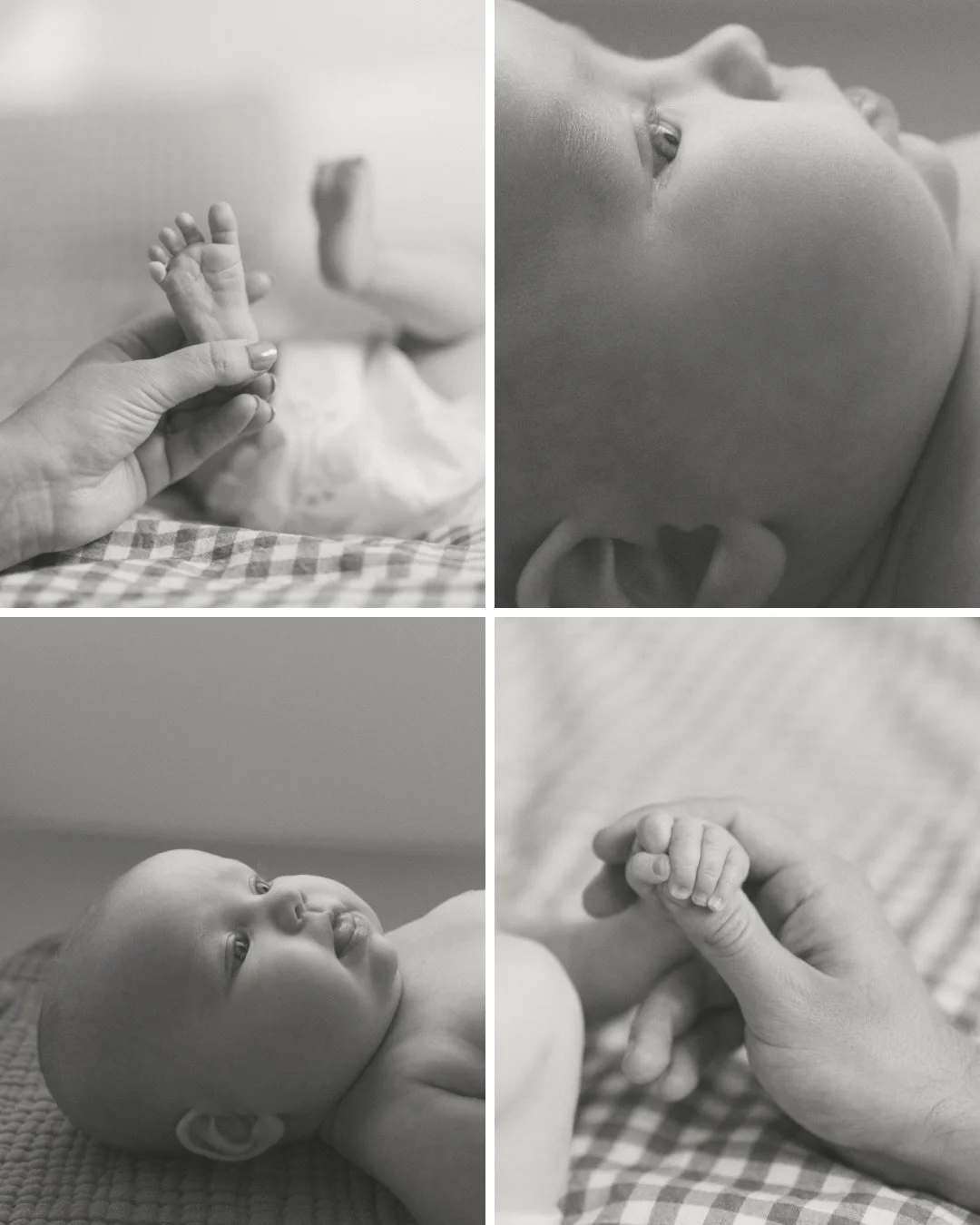Baby R, photographed at 2 months old with her proud and adoring parents and their sweet dog too, of course! 

Some sessions I just LOVE in black and white. This was one of them. Something about black and white feels so simple and nostalgic. And while
