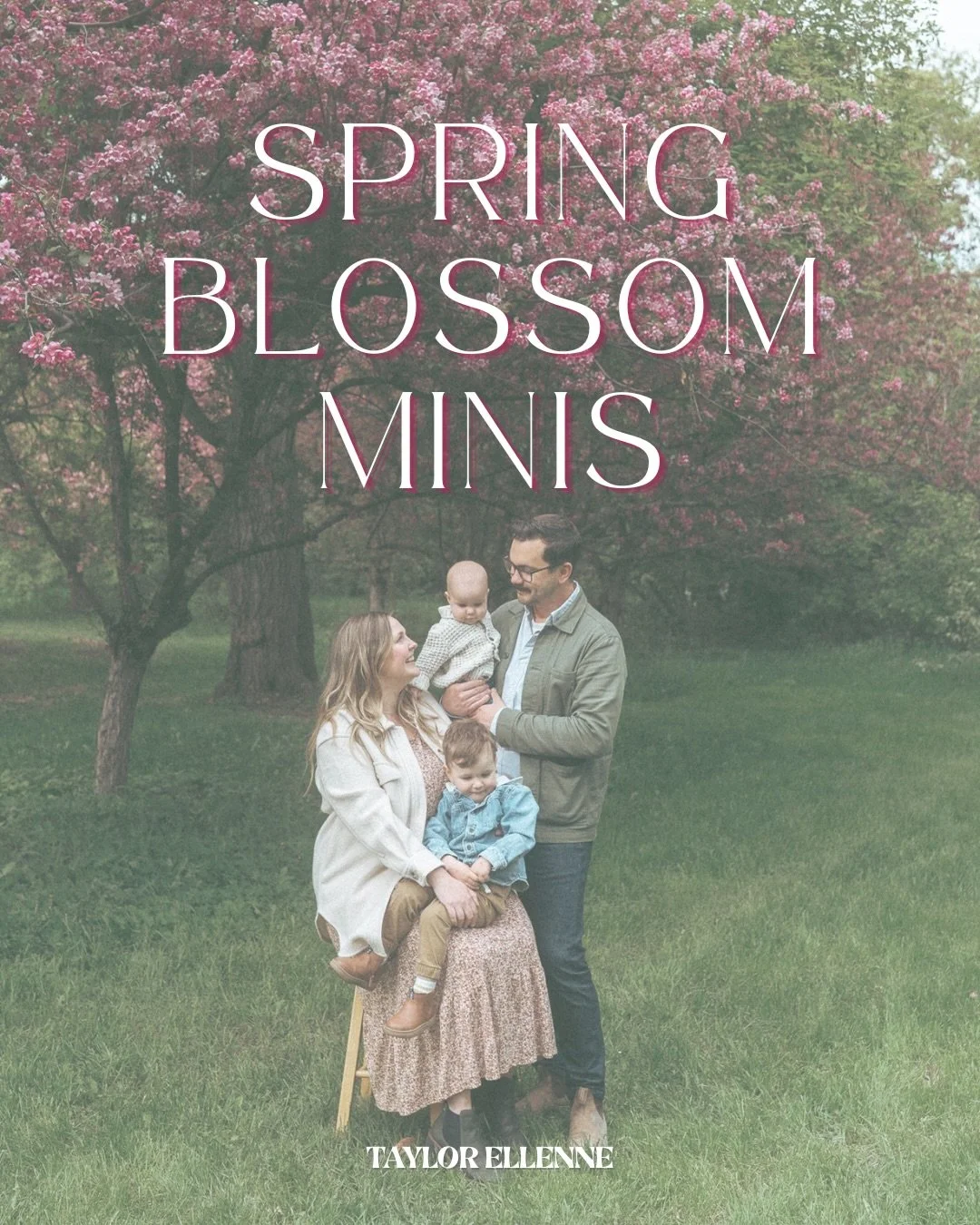Spring Blossom Mini Sessions in Edmonton, Alberta. 

Location for these are TBC but will be in central Edmonton. 

Minis are a great way to get updated family photos or try out a new photographer. Children love to see themselves in photos with their 