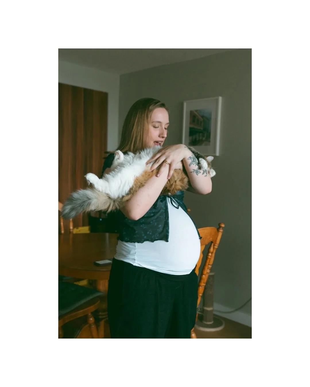 This in home maternity session was full of cool cat energy! And holy moly were there ever a lot of laughs had during the time we spent together. I love how their gallery turned out and the way it celebrates the memories of those last weeks leading up
