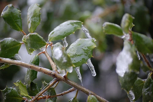 Week ahead: Debt Ceiling Thaw Warms Traders’ Hearts