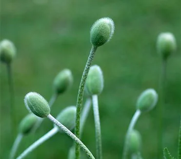 Post-Polar Vortex Jobs Report