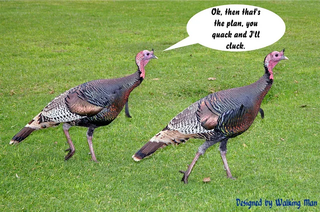 Financial Thanksgiving 2014