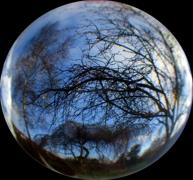 2015 Economic Crystal Ball