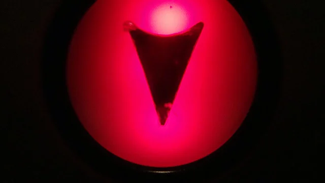 Will the US Become the Next Deflation Nation?