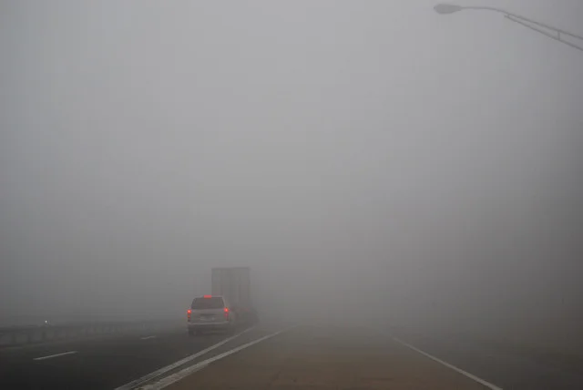 Murky January Jobs Report Will Keep Fed on Hold