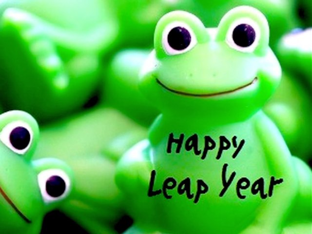 Leap Day for Investors