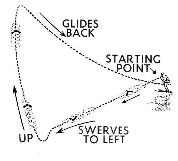 Ground Rules for Boomerang Children