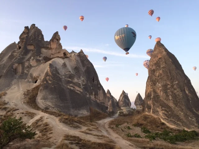 Why are Stock Markets at New Highs?