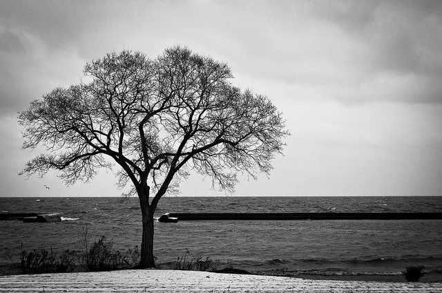 Bleak Anniversaries on Wall Street