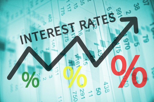 Fed in Focus