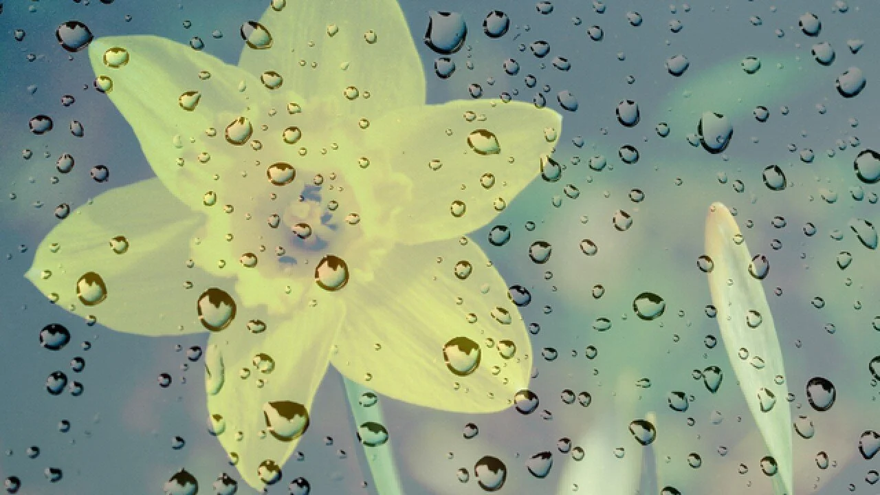 April Showers Soak Jobs 