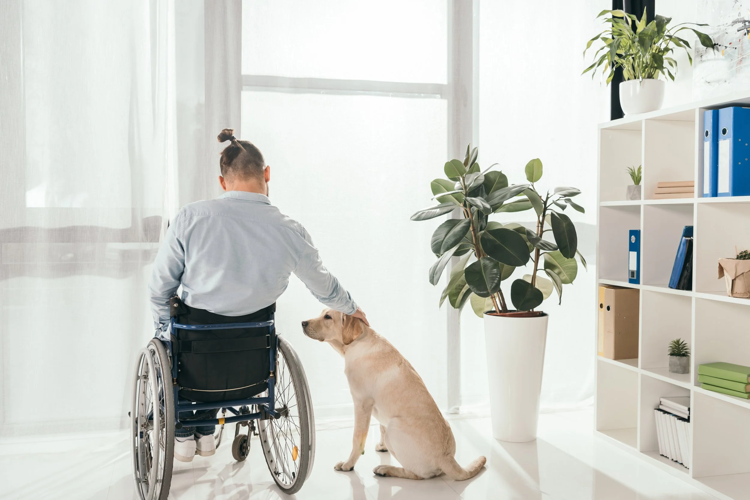 How to adapt your home for accessibility
