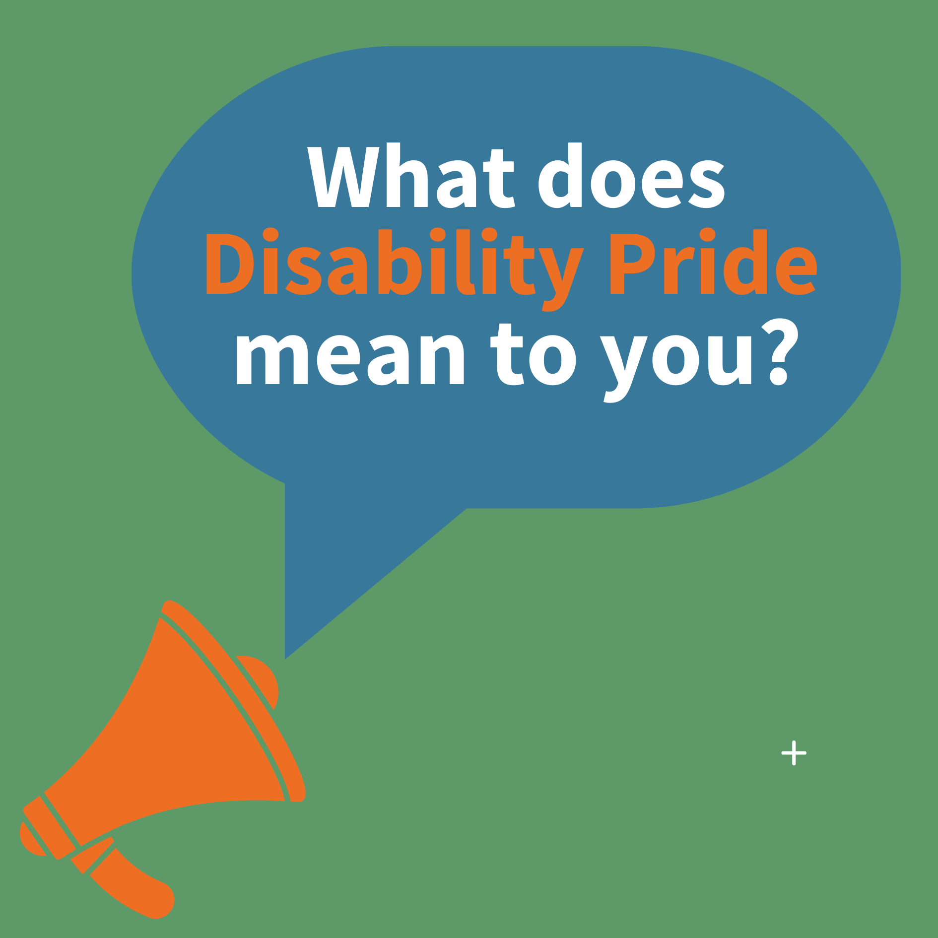  What does Disability Pride mean to you? 